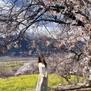 林芝旅游 缩略图 1
