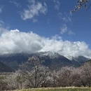 林芝旅游 缩略图 14