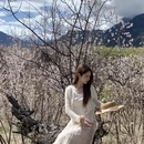 林芝旅游 缩略图 11