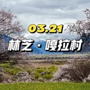 林芝旅游 缩略图 1