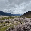 林芝旅游 缩略图 5