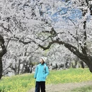 林芝旅游 缩略图 8