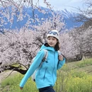 林芝旅游 缩略图 4