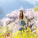 林芝旅游 缩略图 2