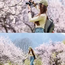 林芝旅游 缩略图 5