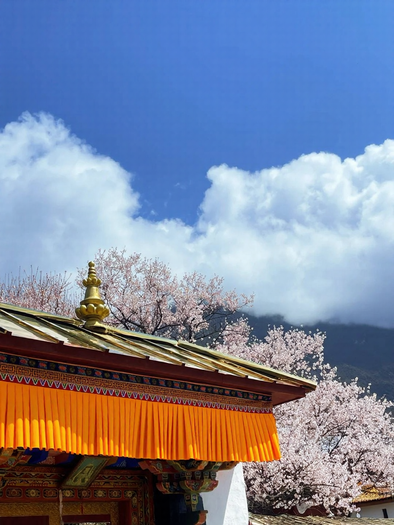 林芝旅游