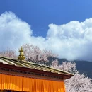林芝旅游 缩略图 1