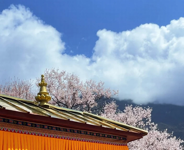 林芝旅游 1