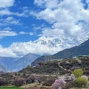 林芝旅游 缩略图 2