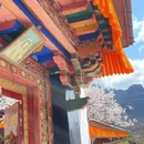 林芝旅游 缩略图 6