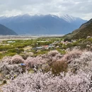林芝旅游 缩略图 8