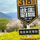 林芝旅游 缩略图 9