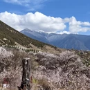 林芝旅游 缩略图 3
