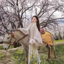 林芝旅游 缩略图 4