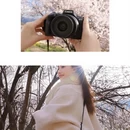 林芝旅游 缩略图 8