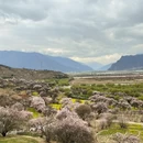 林芝旅游 缩略图 11
