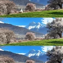 林芝旅游 缩略图 1