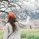 林芝旅游 缩略图 1