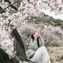 林芝旅游 缩略图 3