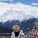 林芝旅游 缩略图 2