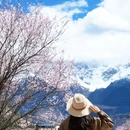 林芝旅游 缩略图 3