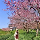 龙岩旅游 缩略图 1