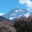 林芝旅游 缩略图 5