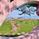 龙岩旅游 缩略图 7