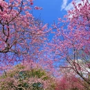 龙岩旅游 缩略图 3