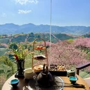 龙岩旅游 缩略图 8