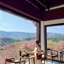龙岩旅游 缩略图 12