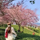 龙岩旅游 缩略图 13
