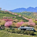 龙岩旅游 缩略图 15