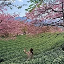 龙岩旅游 缩略图 6