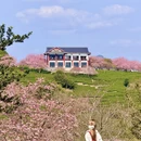 龙岩旅游 缩略图 9