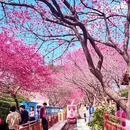 龙岩旅游 缩略图 1