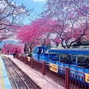 龙岩旅游 缩略图 2
