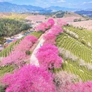 龙岩旅游 缩略图 3