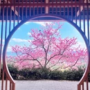 龙岩旅游 缩略图 4
