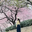 龙岩旅游 缩略图 1