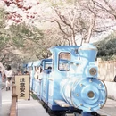 龙岩旅游 缩略图 6