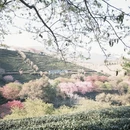 龙岩旅游 缩略图 5