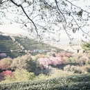 龙岩旅游 缩略图 8
