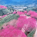 龙岩旅游 缩略图 5