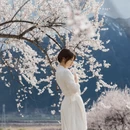 林芝旅游 缩略图 4