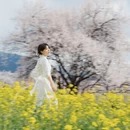 林芝旅游 缩略图 3