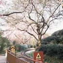 龙岩旅游 缩略图 7