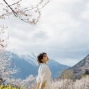 林芝旅游 缩略图 10