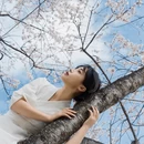 林芝旅游 缩略图 8