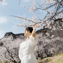 林芝旅游 缩略图 7